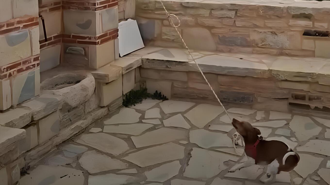 ΒΙΝΤΕΟ: Σκυλάκι χτυπά την καμπάνα σε εκκλησία και γίνεται viral