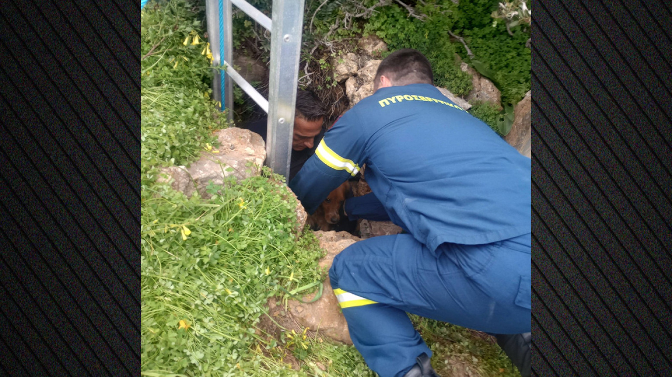 ΦΩΤΟ: Διάσωση σκύλου από πηγάδι 15 μέτρων στη Σύρο, τον έψαχναν δέκα μέρες οι κηδεμόνες του