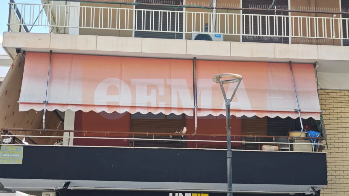 «Πέθαναν μόνες τους, δεν το είπα γιατί φοβόμουν ότι θα μου πάρουν το σπίτι» λέει ο γιος στου Ζωγράφου