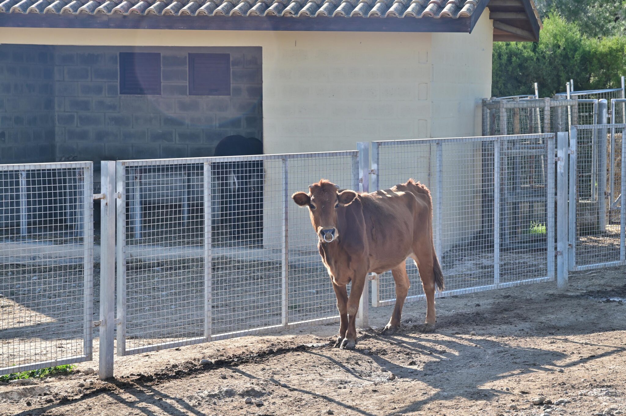 Κλειστό προληπτικά για το κοινό το Κέντρο Περιβαλλοντικής Ενημέρωσης και Εκπαίδευσης Αθαλάσσας