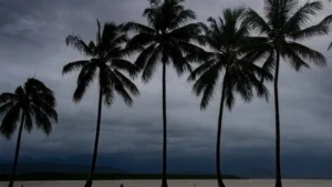 Κυκλώνας άφησε στο σκοτάδι χιλιάδες πολίτες της Νέας Ζηλανδίας