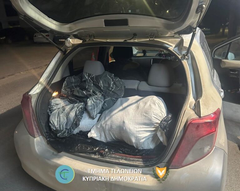 ΦΩΤΟ: Προσπάθησε να φέρει από τα κατεχόμενα στις ελεύθερες περιοχές 75kg δέρματα βοοειδών