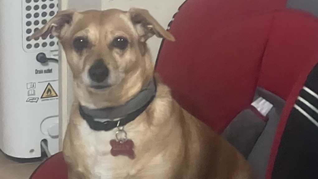 &Alpha;&tau;&iota;&mu;ώ&rho;&eta;&tau;&omicron;&iota; &omicron;&iota; &delta;&omicron;&lambda;&omicron;&phi;ό&nu;&omicron;&iota; &tau;&eta;&sigmaf; &laquo;&Lambda;ί&lambda;&lambda;&upsilon;&raquo;: Έ&beta;&alpha;&lambda;&alpha;&nu; &delta;&eta;&lambda;&eta;&tau;ή&rho;&iota;&omicron; &delta;ί&pi;&lambda;&alpha; &alpha;&pi;ό &pi;&alpha;&iota;&chi;&nu;ί&delta;&iota;&alpha; 4&chi;&rho;&omicron;&nu;&omicron;&upsilon; &pi;&alpha;&iota;&delta;&iota;&omicron;ύ