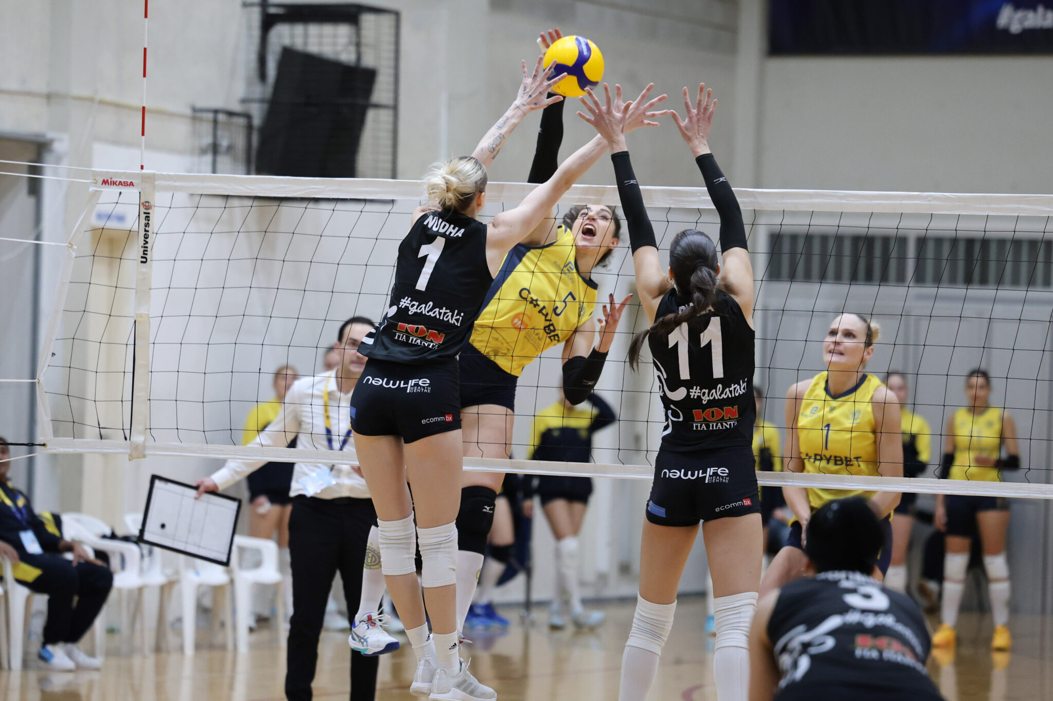 Πετόσφαιρα Γυναικών: «Μάχη» ΑΕΛ και Ολυμπιάδας για το Κύπελλο