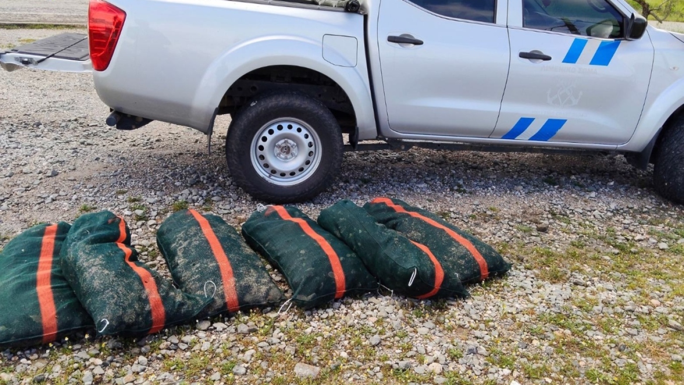 Συνελήφθη 44χρονος στη Γλύφα για παράνομη αλιεία 2.500 αχινών, τους έριξαν ξανά πίσω στη θάλασσα