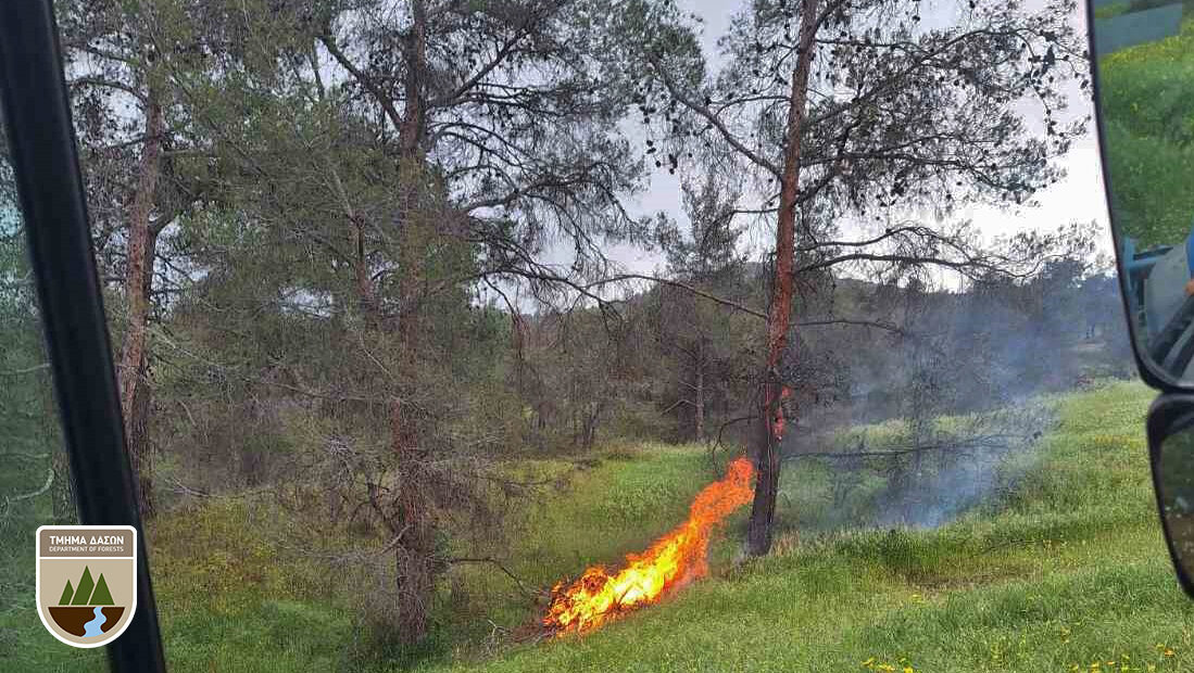 ΦΩΤΟ: Κεραυνός προκάλεσε πυρκαγιά, εντοπίστηκε από πολίτη κι αποφεύχθηκαν τα χειρότερα