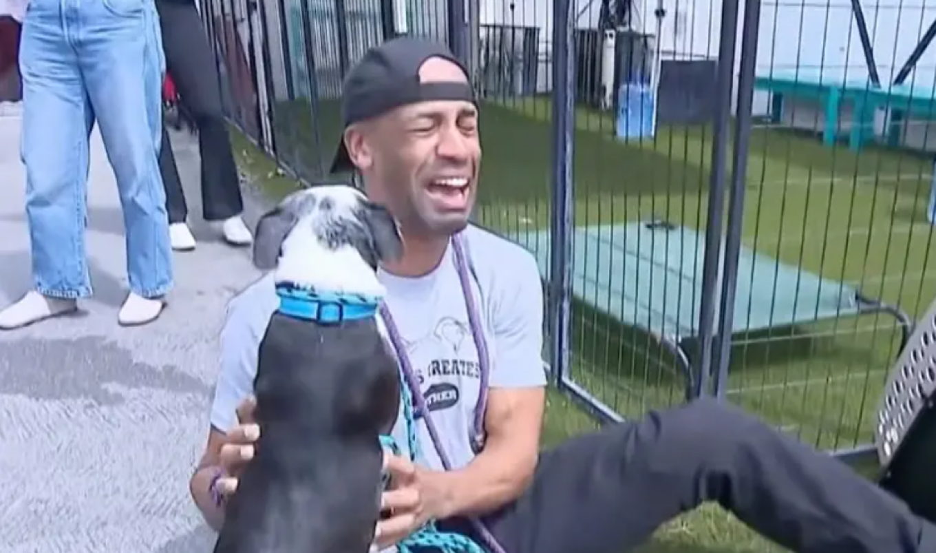 Συγκινητικό βίντεο: Βρήκε τον σκύλο του τρία χρόνια αφού τον είχαν κλέψει στο Λος Άντζελες και ξέσπασε σε λυγμούς
