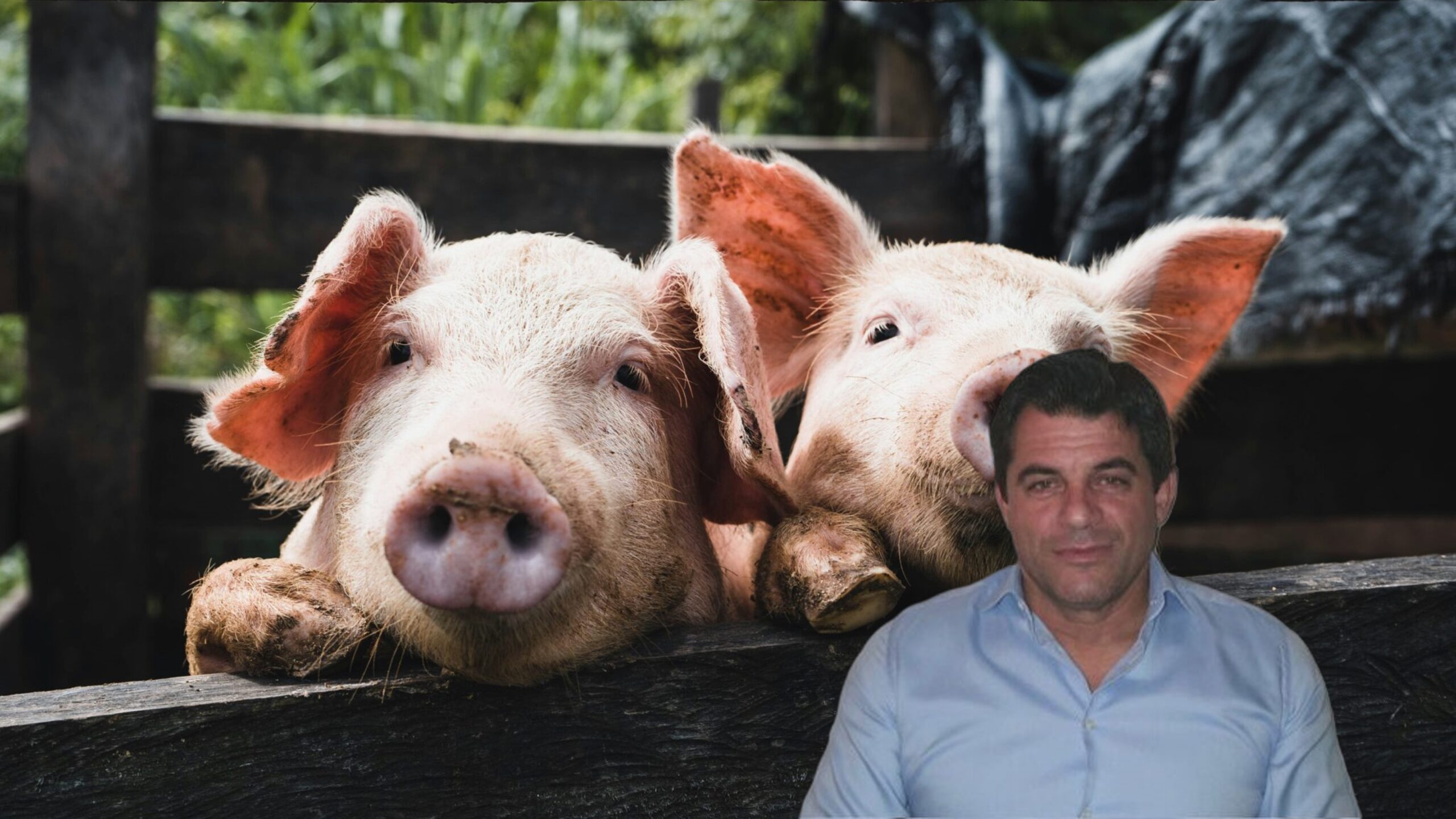 &Alpha;&pi;&alpha;&nu;&tau;ά &omicron; &Kappa;&alpha;ϊ&lambda;ά&sigmaf;: &Mu;&epsilon; &eta;&mu;&epsilon;&rho;&omicron;&mu;&eta;&nu;ί&epsilon;&sigmaf; &kappa;&iota; έ&gamma;&gamma;&rho;&alpha;&phi;&alpha; &laquo;&alpha;&pi;&omicron;&kappa;&alpha;&theta;&iota;&sigma;&tau;ά &tau;&eta;&nu; &alpha;&lambda;ή&theta;&epsilon;&iota;&alpha;&raquo; &gamma;&iota;&alpha; &tau;&eta;&nu; ά&rho;&nu;&eta;&sigma;&eta; &epsilon;&mu;&beta;&omicron;&lambda;&iota;&alpha;&sigma;&mu;ώ&nu; &sigma;&epsilon; &chi;&omicron;ί&rho;&omicron;&upsilon;&sigmaf;