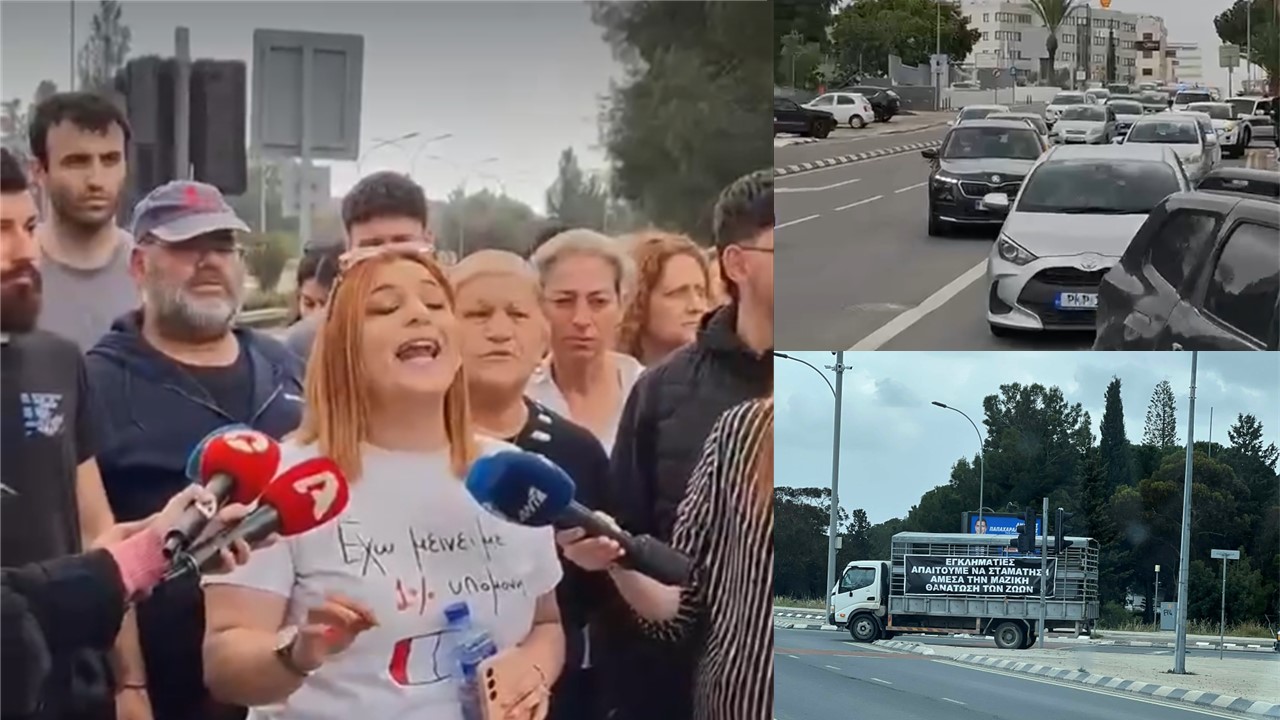 Τελεσίγραφο κτηνοτρόφων για νέες κινητοποιήσεις: «Θέλουμε να μας στηρίξει ο κόσμος»