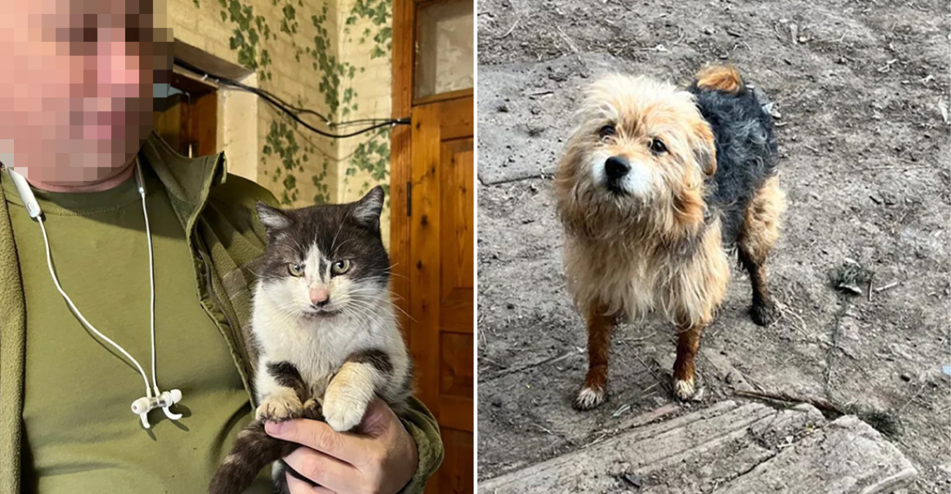 Ουκρανοί στρατιώτες μετέφεραν γάτα και σκύλο με drone από την πρώτη γραμμή του πολέμου