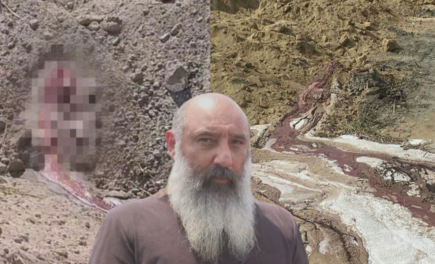 «Έγινε ηφαίστειο»: Δείχνουν φωτογραφίες και προκαλούν τις Κτηνιατρικές να ξεθάψουν τα ζώα κτηνοτρόφοι