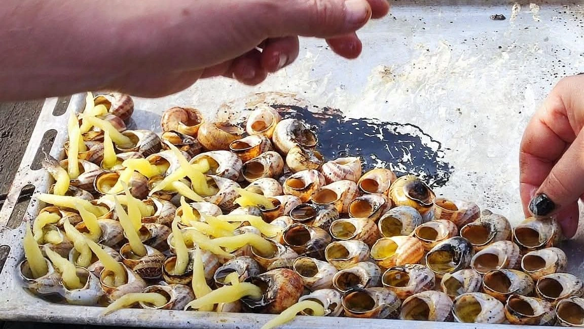 ΦΩΤΟ: Το άγνωστο έθιμο του ανάμματος των σαλιγκαριών στην Κέρκυρα