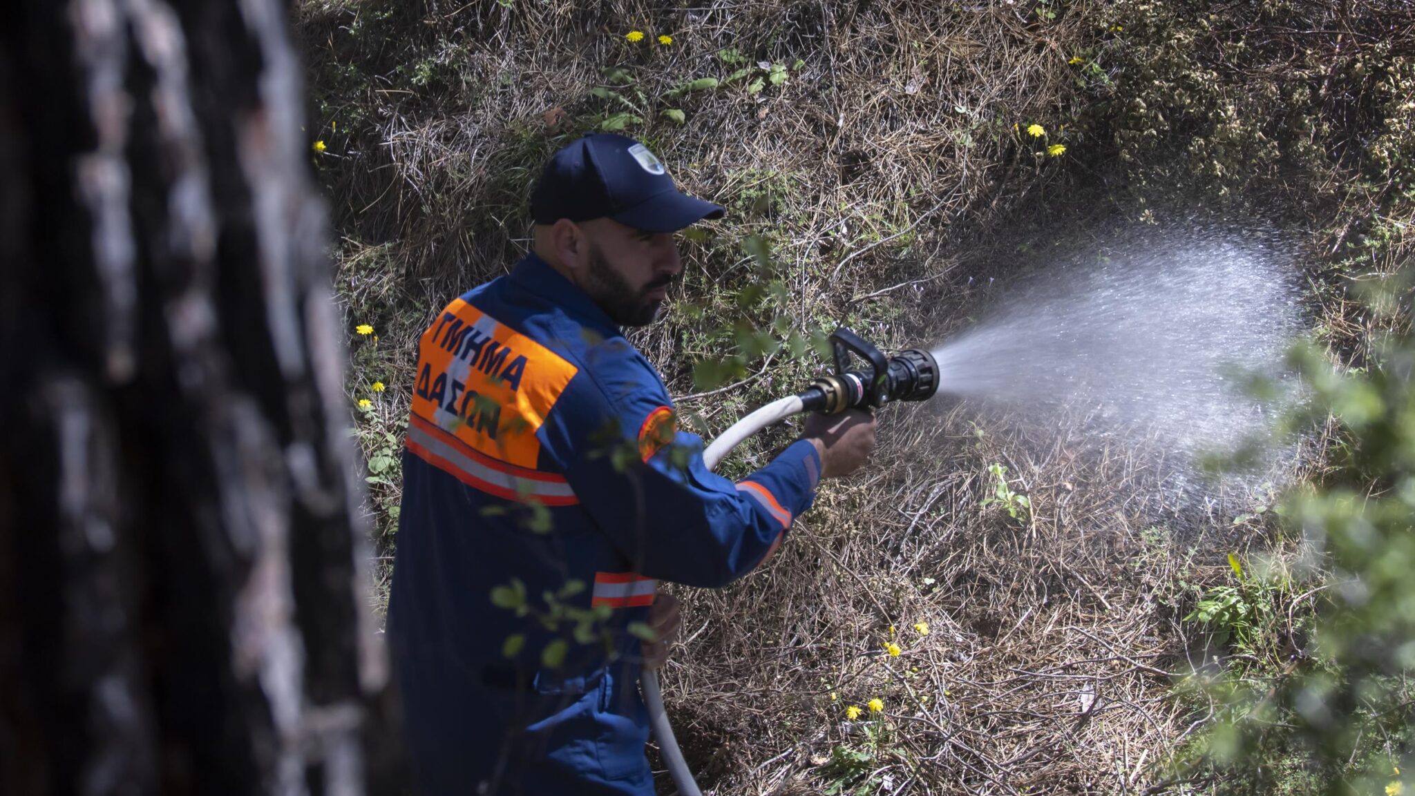 Πυρκαγιά με το καλημέρα στην Καλλιέπεια Πάφου, άμεση επέμβαση πυροσβεστικών δυνάμεων