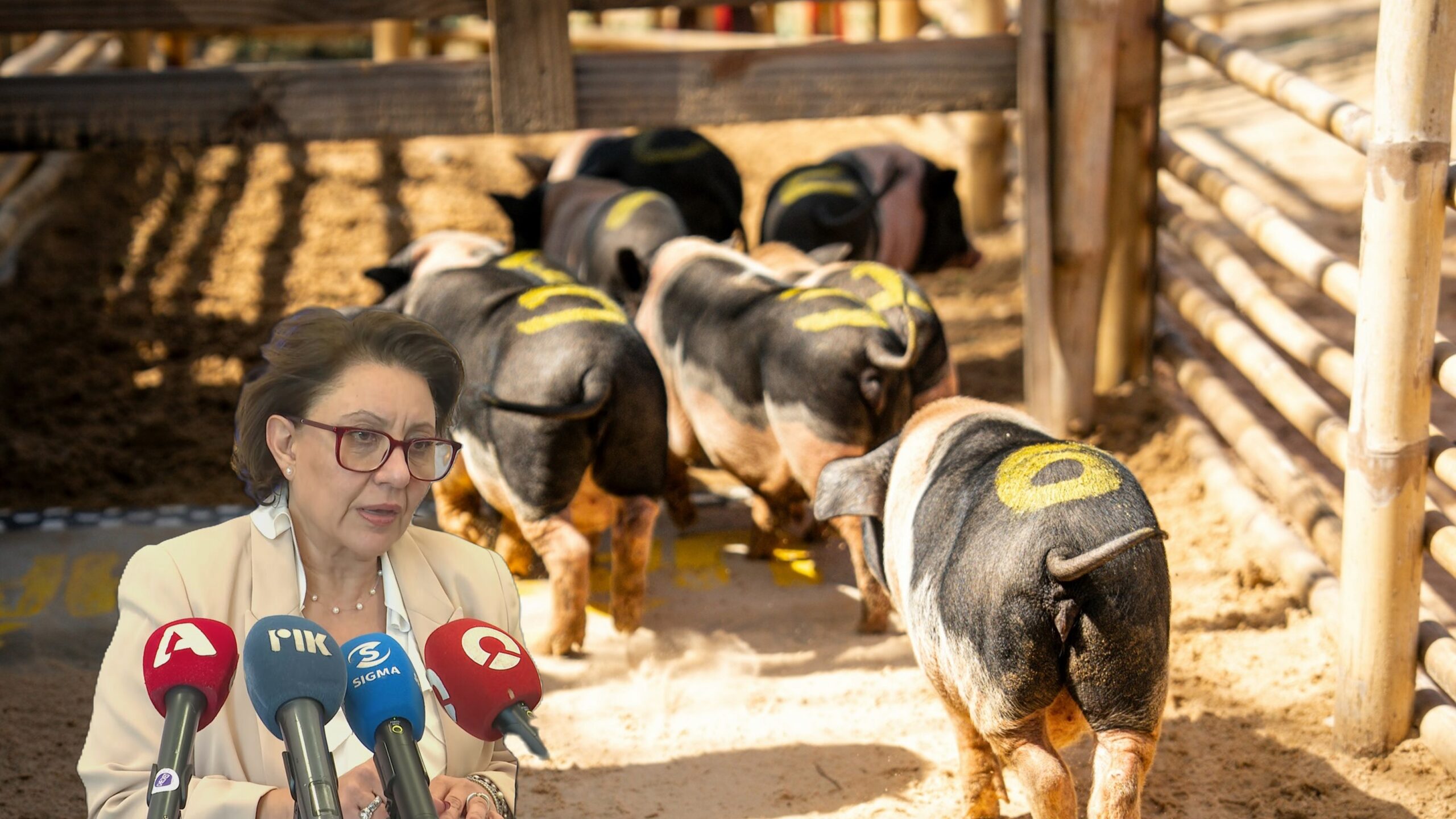 &laquo;&Epsilon;ί&nu;&alpha;&iota; &pi;ά&rho;&alpha; &pi;&omicron;&lambda;ύ &delta;ύ&sigma;&kappa;&omicron;&lambda;&eta; &delta;&omicron;&upsilon;&lambda;&epsilon;&iota;ά&raquo;: Έ&tau;&sigma;&iota; &theta;&alpha; &theta;&alpha;&nu;&alpha;&tau;&omega;&theta;&omicron;ύ&nu; &omicron;&iota; 4,000 &chi;&omicron;ί&rho;&omicron;&iota; &pi;&omicron;&upsilon; &nu;&omicron;&sigma;&omicron;ύ&nu; &mu;&epsilon; &alpha;&phi;&theta;ώ&delta;&eta; &pi;&upsilon;&rho;&epsilon;&tau;ό