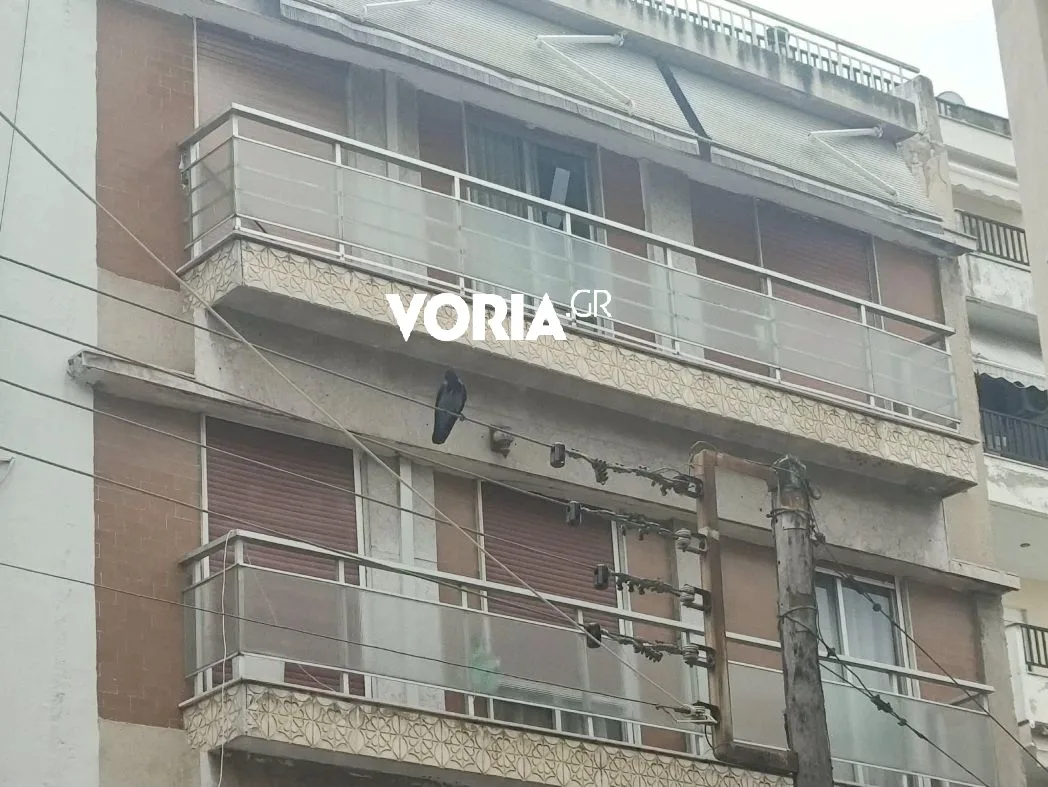 ΒΙΝΤΕΟ: Κοράκι επιτέθηκε σε περαστικούς στο κέντρο της Θεσσαλονίκης, τρεις τραυματίες