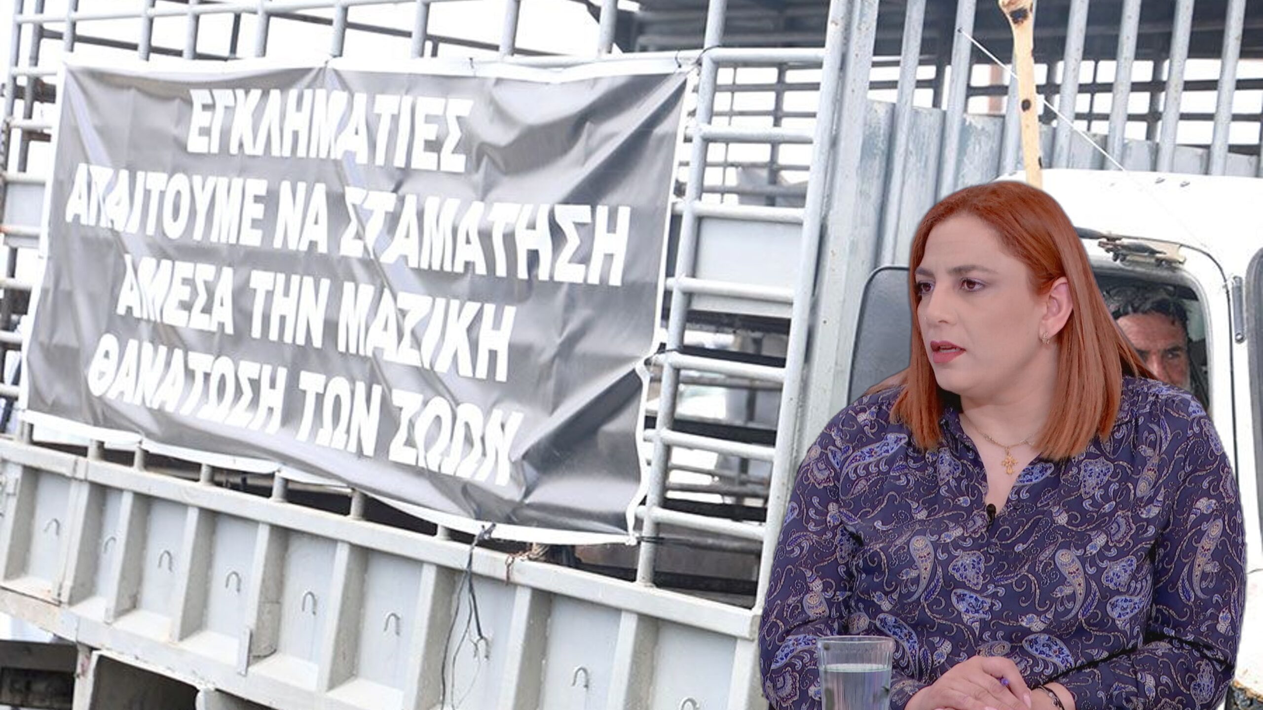 &Sigma;&tau;έ&lambda;&nu;&omicron;&upsilon;&nu; έ&nu;&alpha; &pi;&rho;&omicron;&sigmaf; έ&nu;&alpha; &tau;&alpha; &alpha;&iota;&tau;ή&mu;&alpha;&tau;&alpha; &kappa;&alpha;&iota; &tau;&alpha; &epsilon;&rho;&omega;&tau;ή&mu;&alpha;&tau;ά &tau;&omicron;&upsilon;&sigmaf; &sigma;&tau;&eta;&nu; &Pi;&alpha;&nu;&alpha;&gamma;&iota;ώ&tau;&omicron;&upsilon; &omicron;&iota; &delta;&iota;&alpha;&mu;&alpha;&rho;&tau;&upsilon;&rho;ό&mu;&epsilon;&nu;&omicron;&iota; &kappa;&tau;&eta;&nu;&omicron;&tau;&rho;ό&phi;&omicron;&iota;
