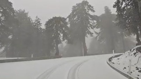 &Beta;&Iota;&Nu;&Tau;&Epsilon;&Omicron;: &Sigma;&tau;&alpha; &lambda;&epsilon;&upsilon;&kappa;ά &tau;&omicron; &Tau;&rho;ό&omicron;&delta;&omicron;&sigmaf;, &epsilon;&nu;&tau;&upsilon;&pi;&omega;&sigma;&iota;&alpha;&kappa;ή &chi;&iota;&omicron;&nu;ό&pi;&tau;&omega;&sigma;&eta; &Mu;ά&eta; &mu;ή&nu;&alpha;