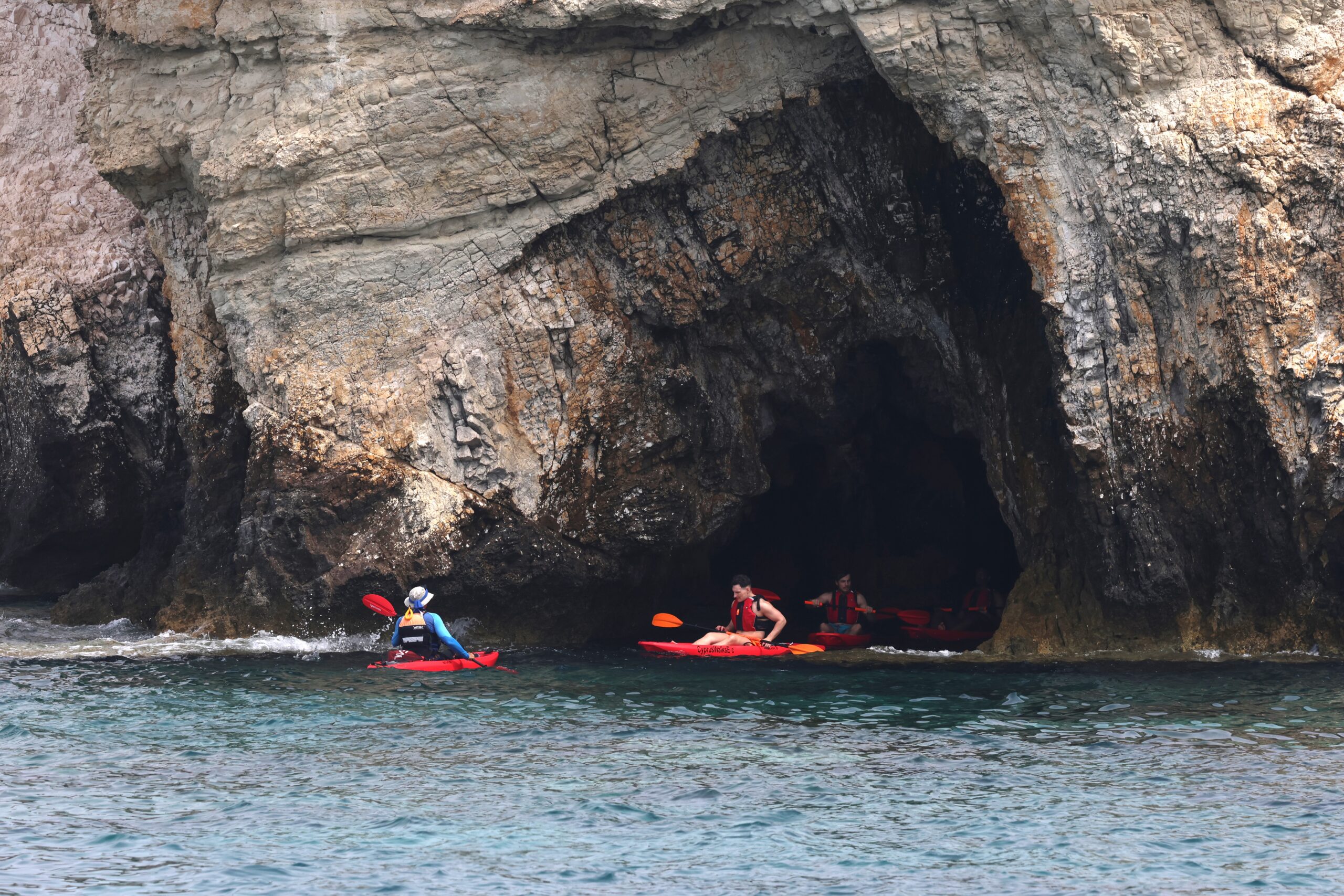 5+1 &tau;&rho;ό&pi;&omicron;&iota; &gamma;&iota;&alpha; &nu;&alpha; &pi;&rho;&omicron;&sigma;&tau;&alpha;&tau;&epsilon;ύ&sigma;&epsilon;&iota;&sigmaf; &tau;&iota;&sigmaf; &phi;ώ&kappa;&iota;&epsilon;&sigmaf; monachus monachus &alpha;&nu; &omicron;&delta;&eta;&gamma;&epsilon;ί&sigmaf; &theta;&alpha;&lambda;ά&sigma;&sigma;&iota;&omicron; &sigma;&kappa;ά&phi;&omicron;&sigmaf;