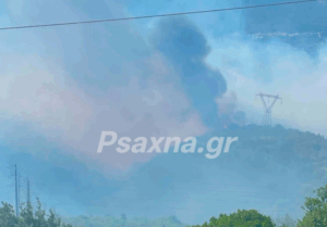Μεγάλη φωτιά στην Εύβοια: Εκκενώνονται περιοχές, επιχειρούν 100 πυροσβέστες και 13 εναέρια (ΒΙΝΤΕΟ)