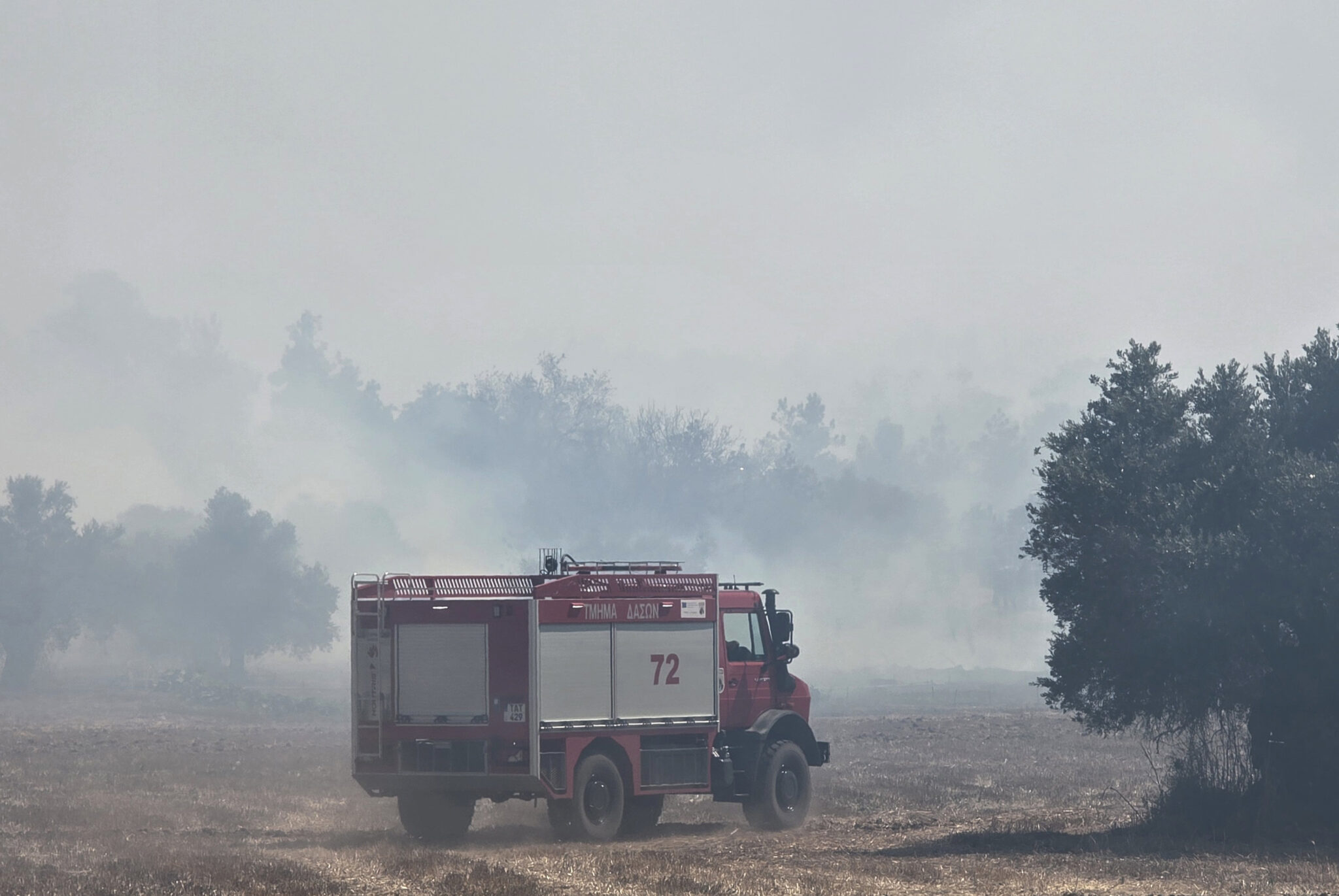 Αιωνόβιες ελιές χάθηκαν από τη μεγάλη φωτιά στα Πυργά (ΒΙΝΤΕΟ&ΦΩΤΟ)