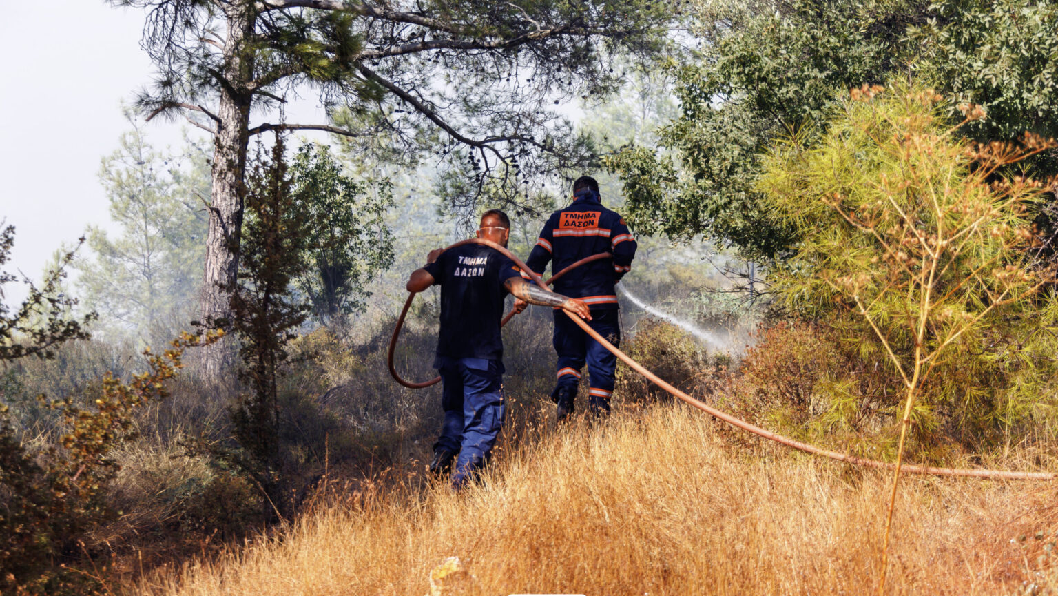 Κόκκινος συναγερμός από Τμήμα Δασών για δασικές πυρκαγιές