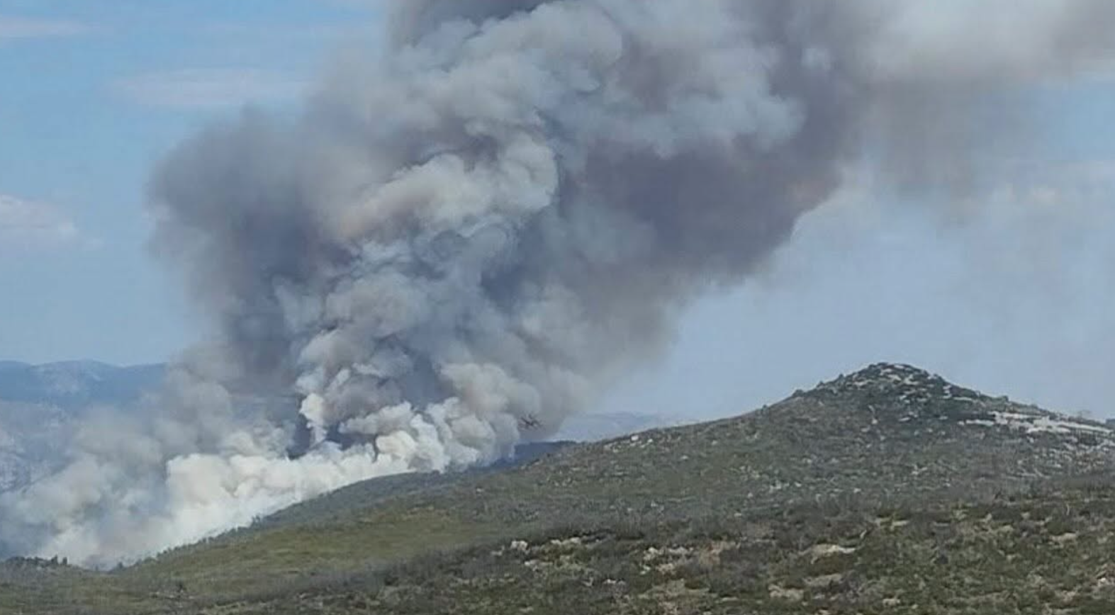 Βελτιωμένη η εικόνα της πυρκαγιάς στην Οινόη, «περιχαρακώσαμε τη φωτιά και δεν έχει καεί κάποιο σπίτι»