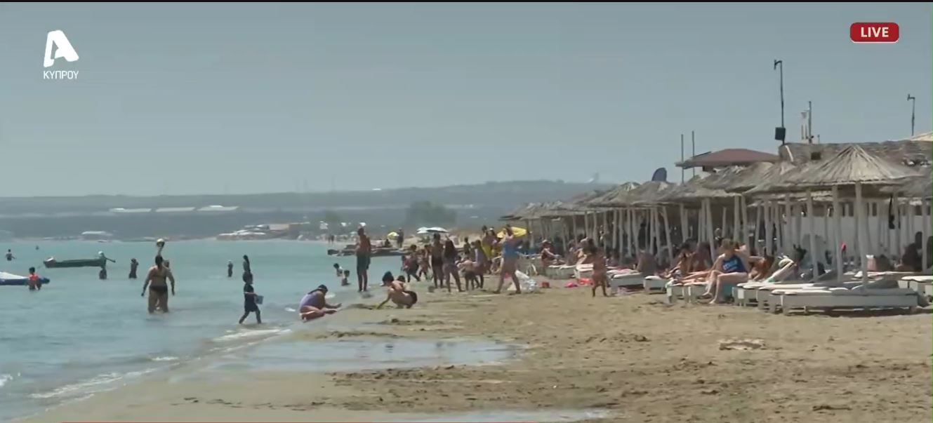 Φεύγουν χελώνες και πουλιά από το Ladys Mile: Τι καταγγέλλουν περιβαλλοντικές οργανώσεις