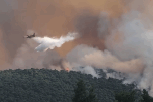 ΒΙΝΤΕΟ: Μεγάλη φωτιά στην Μάνδρα Αττικής, στη μάχη 140 πυροσβέστες και εναέρια μέσα