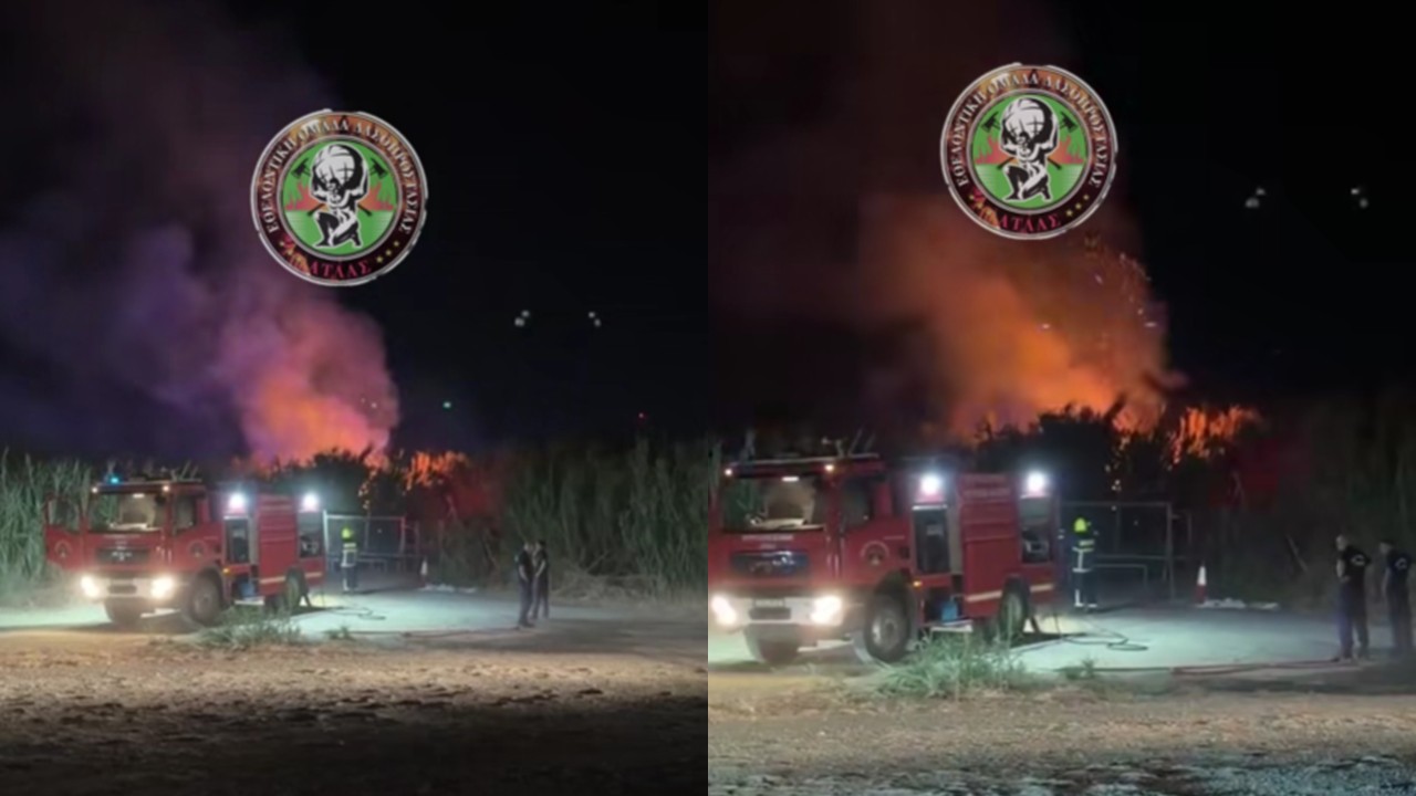 ΒΙΝΤΕΟ: Πυρκαγιά σε καλαμιώνα στα Λειβάδια έφτασε στη λαϊκή αγορά και απείλησε φιάλες υγραερίου