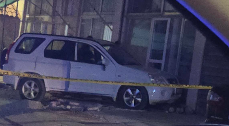&Beta;&Iota;&Nu;&Tau;&Epsilon;&Omicron; &Phi;&Omega;&Tau;&Omicron;: Ά&gamma;&rho;&iota;&omicron;&sigmaf; &kappa;&alpha;&beta;&gamma;ά&sigmaf; &Sigma;ύ&rho;&omega;&nu; &sigma;&tau;&eta; &Xi;&upsilon;&lambda;&omicron;&phi;ά&gamma;&omicro