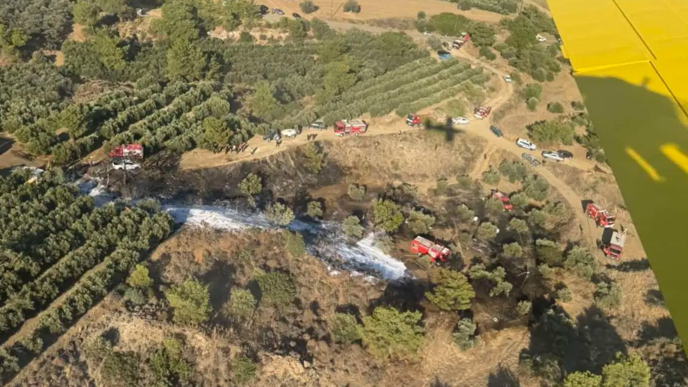 ΒΙΝΤΕΟ: Από μελισσοκομικές εργασίες ξέσπασε η φωτιά που απείλησε το Κρατικό Δάσος Σταυροβουνίου