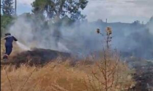 ΒΙΝΤΕΟ: Μάχη με τις φλόγες στον Ψευδά, έπιασαν τη φωτιά πριν επεκταθεί