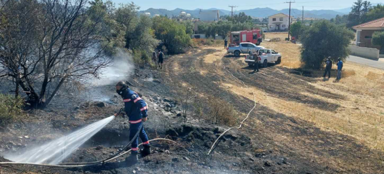 Πρόλαβαν τα χειρότερα: Υπό πλήρη έλεγχο δασική πυρκαγιά στην κοινότητα Κλήρου (ΦΩΤΟ)