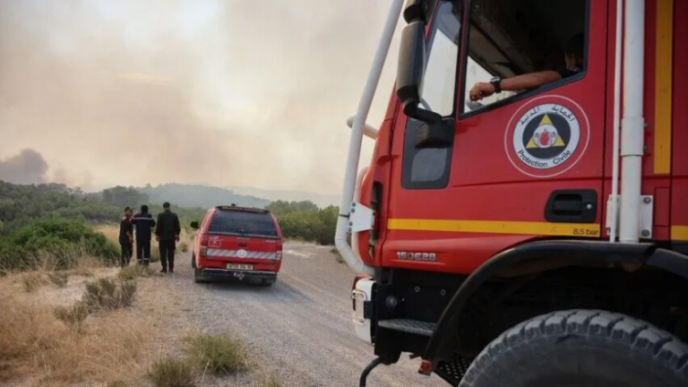 Πυρκαγιές Αλγερία: Δώδεκα νεκροί και δεκάδες τραυματίες