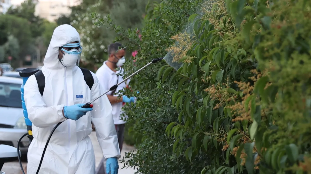 Ιός Δυτικού Νείλου: Έξι θανάτοι και 65 κρούσματα μέχρι στιγμής στην Ελλάδα