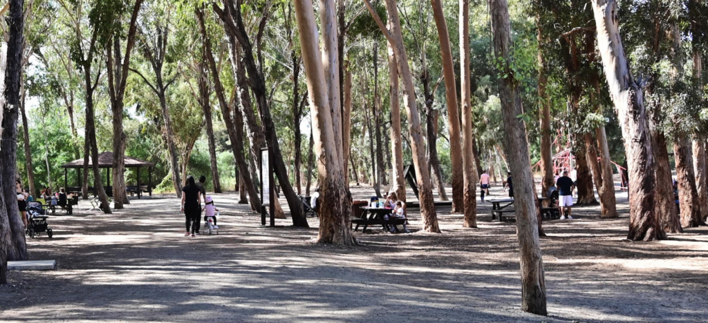 &laquo;&Delta;&epsilon;&nu; &epsilon;&pi;&iota;&tau;&rho;έ&pi;&epsilon;&tau;&alpha;&iota; &eta; &pi;&rho;&omicron;&kappa;&rho;ά&tau;&eta;&sigma;&eta; &tau;&rho;&alpha;&pi;&epsilon;&zeta;&iota;ώ&nu;&raquo;: Ό&lambda;&alpha; ό&sigma;&alpha; &pi;&rho;έ&pi;&epsilon;&iota; &nu;&alpha; &gamma;&nu;&omega;&rho;ί&zeta;&epsilon;&iota;&sigmaf; &epsilon;ά&nu; &epsilon;&tau;&omicron;&iota;&mu;ά&zeta;&epsilon;&sigma;&alpha;&iota; &gamma;&iota;&alpha; &epsilon;&xi;ό&rho;&mu;&eta;&sigma;&eta; &sigma;&epsilon; E&theta;&nu;&iota;&kappa;ό &Delta;&alpha;&sigma;&iota;&kappa;ό &Pi;ά&rho;&kappa;&omicron;