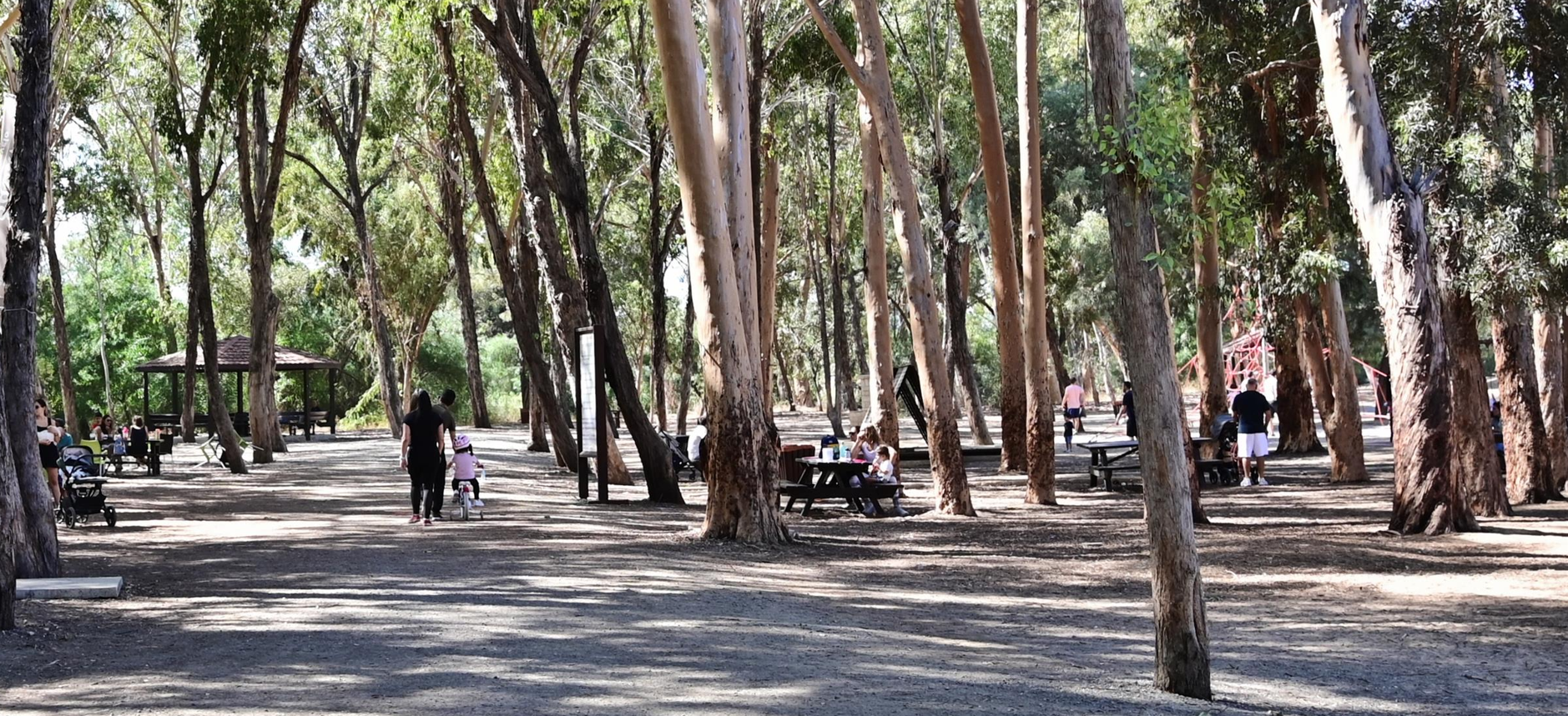 «Δεν επιτρέπεται η προκράτηση τραπεζιών»: Όλα όσα πρέπει να γνωρίζεις εάν ετοιμάζεσαι για εξόρμηση σε Eθνικό Δασικό Πάρκο