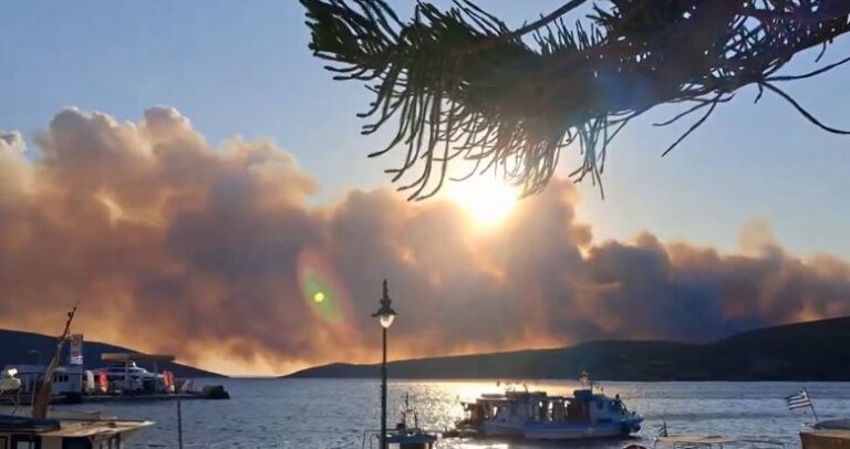 Μαίνεται η πυρκαγιά στη Σκύρο: Δύσκολη μάχη στο μέτωπο προς το Πεύκο