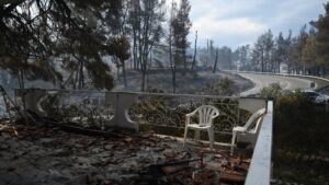 Χαλκιδική: Ξεκίνησαν οι αιτήσεις κρατικής αρωγής για επιχειρήσεις που επλήγησαν από την πυρκαγιά