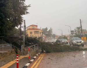 Σαράντα βλάβες μέσης τάσης λόγω της κακοκαιρίας