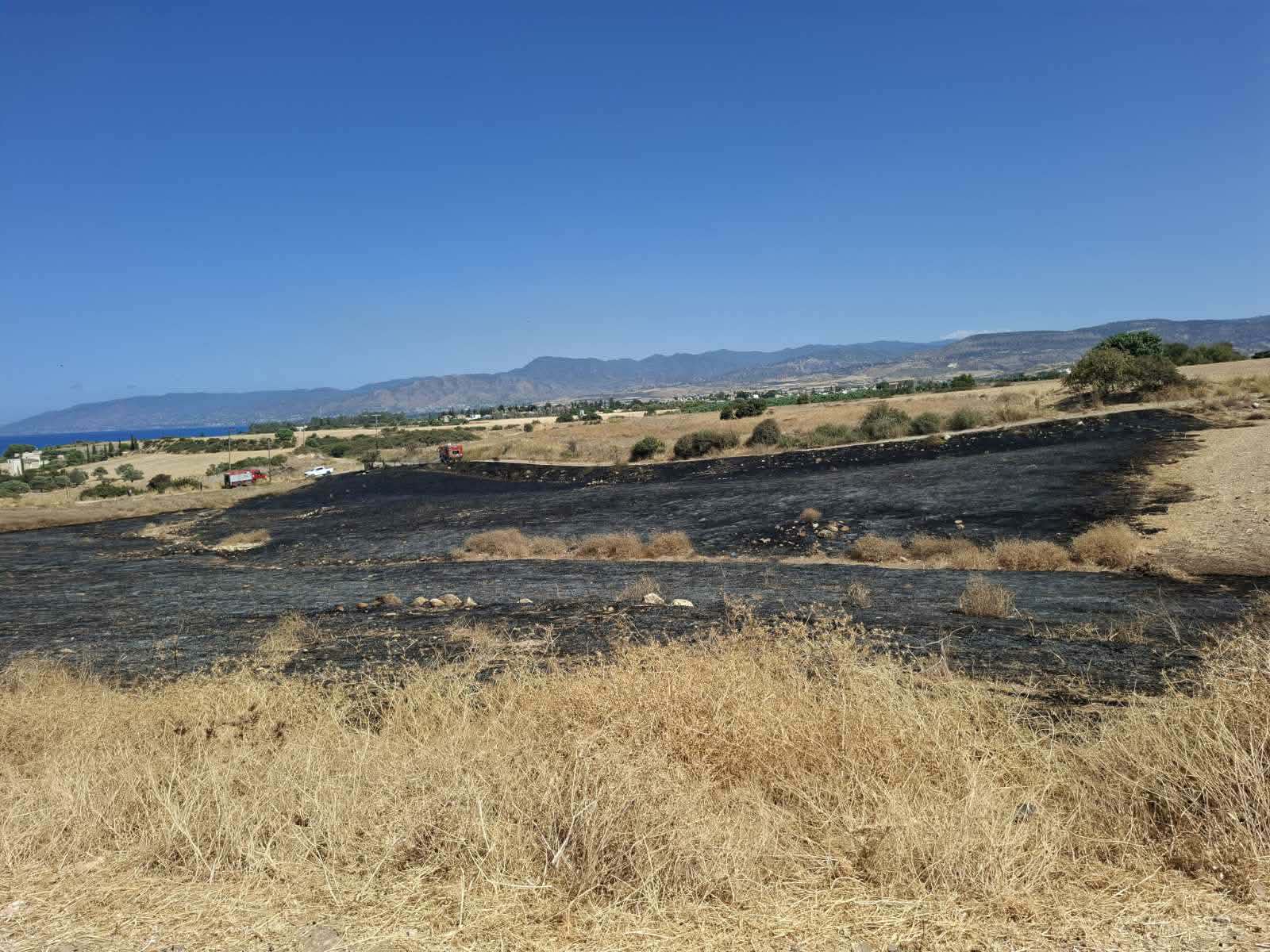 Υπό έλεγχο η πυρκαγιά στο Προδρόμι, γλίτωσαν κατοικίες από τις φλόγες