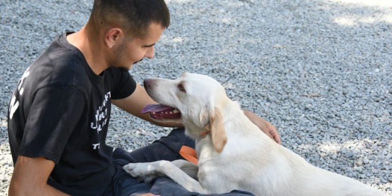 Simba Animal Aid: Ένας Σεπτέμβριος γεμάτος δράσεις για τους τετράποδους φίλους μας – Κάθε βοήθεια είναι απαραίτητη