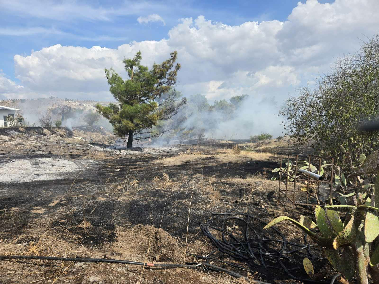 ΦΩΤΟ: Νέος συναγερμός σε Πυροσβεστική και Τμήμα Δασών λόγω πυρκαγιάς στην επαρχία Λευκωσίας