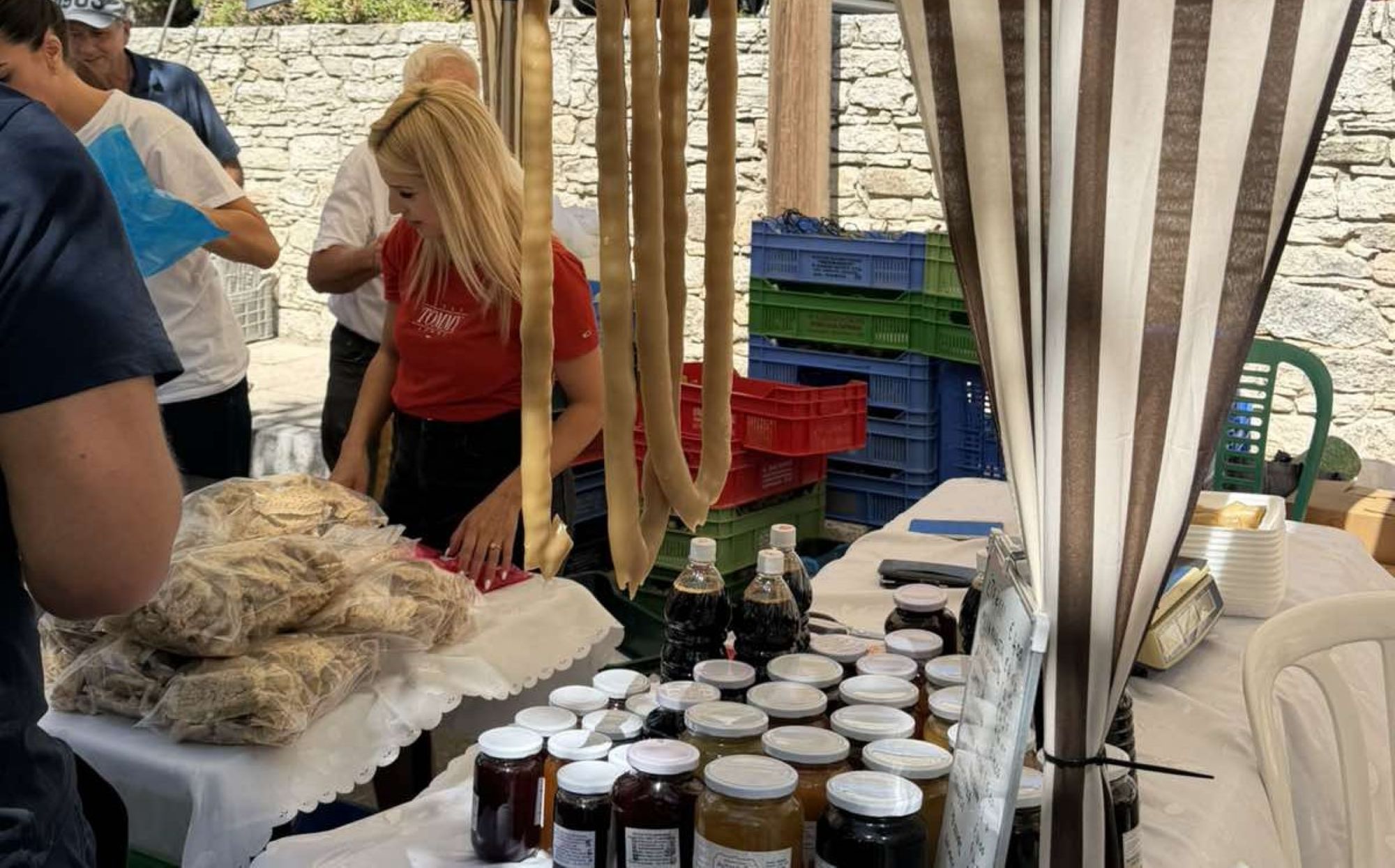 Διάθεση €22 εκατ. για αναδιάρθρωση αμπελώνων το 2027