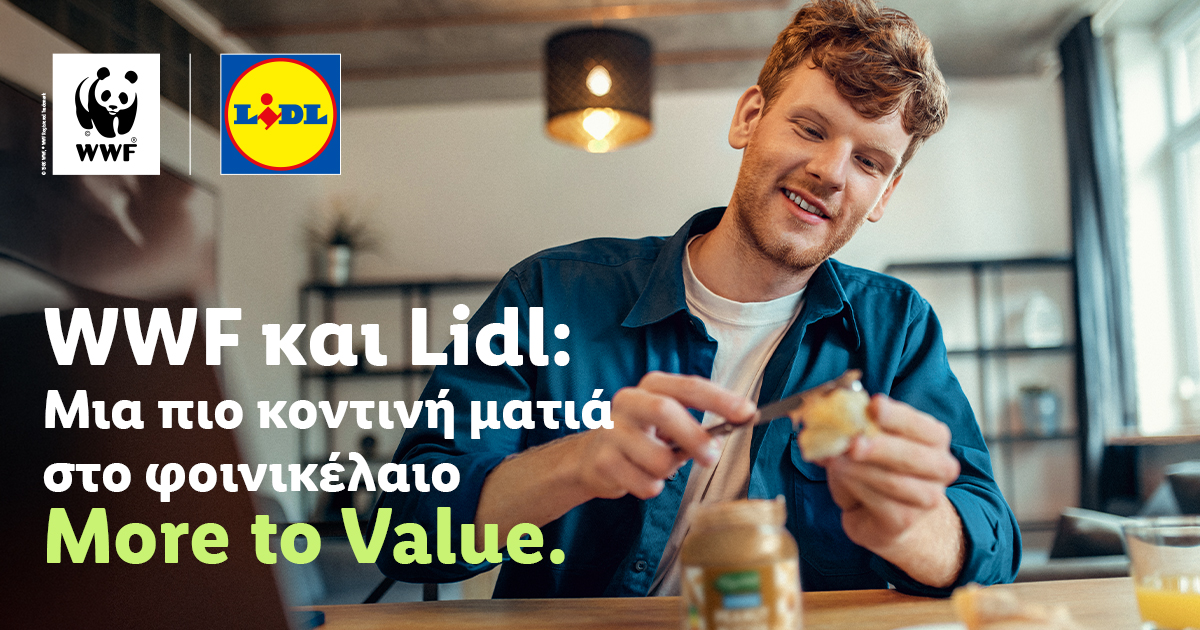 Lidl και WWF επιτυγχάνουν σημαντικά ορόσημα στη βιώσιμη προμήθεια φοινικέλαιου