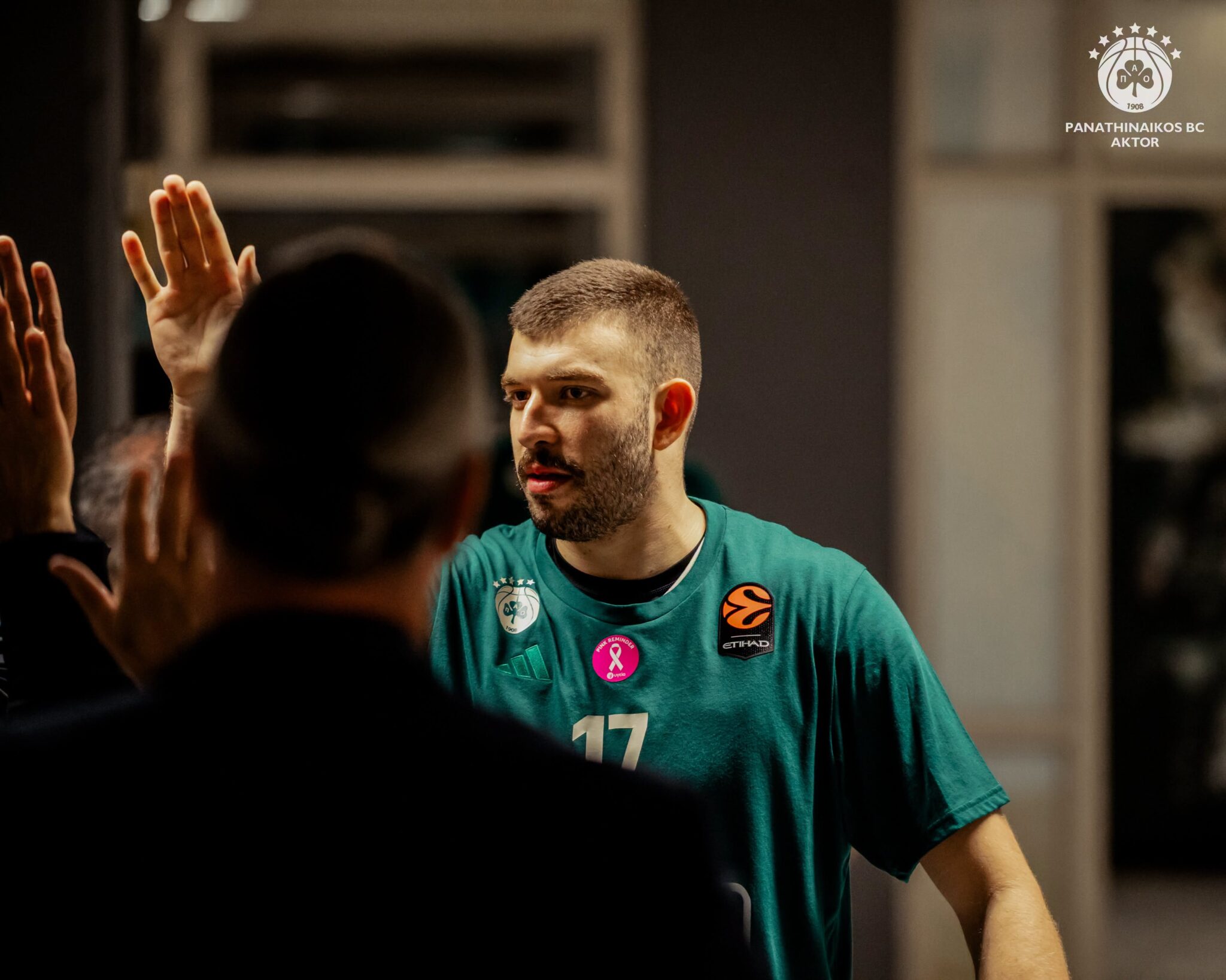 Πλήγμα με Ρογκαβόπουλο στον Παναθηναϊκό ενόψει Χάποελ