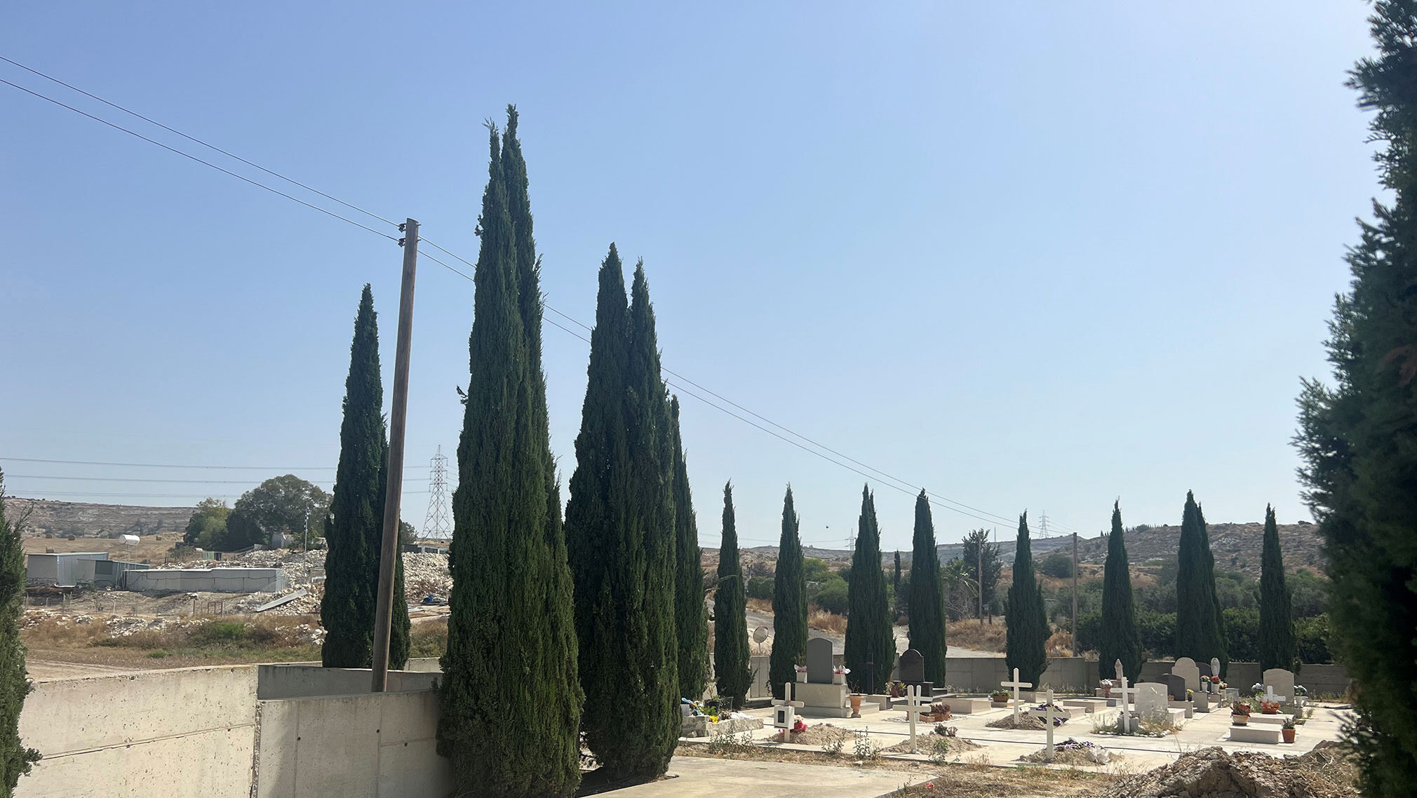 Γιατί φυτεύουμε κυπαρίσσια στα κοιμητήρια;
