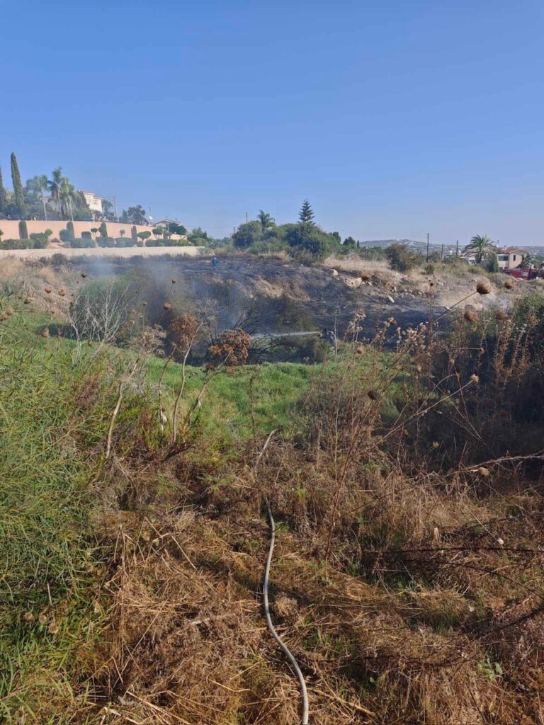 Οριοθετήθηκε η φωτιά στην Τρεμιθούσα, τελικές κατασβέσεις από τις δυνάμεις πυρόσβεσης (ΦΩΤΟ)