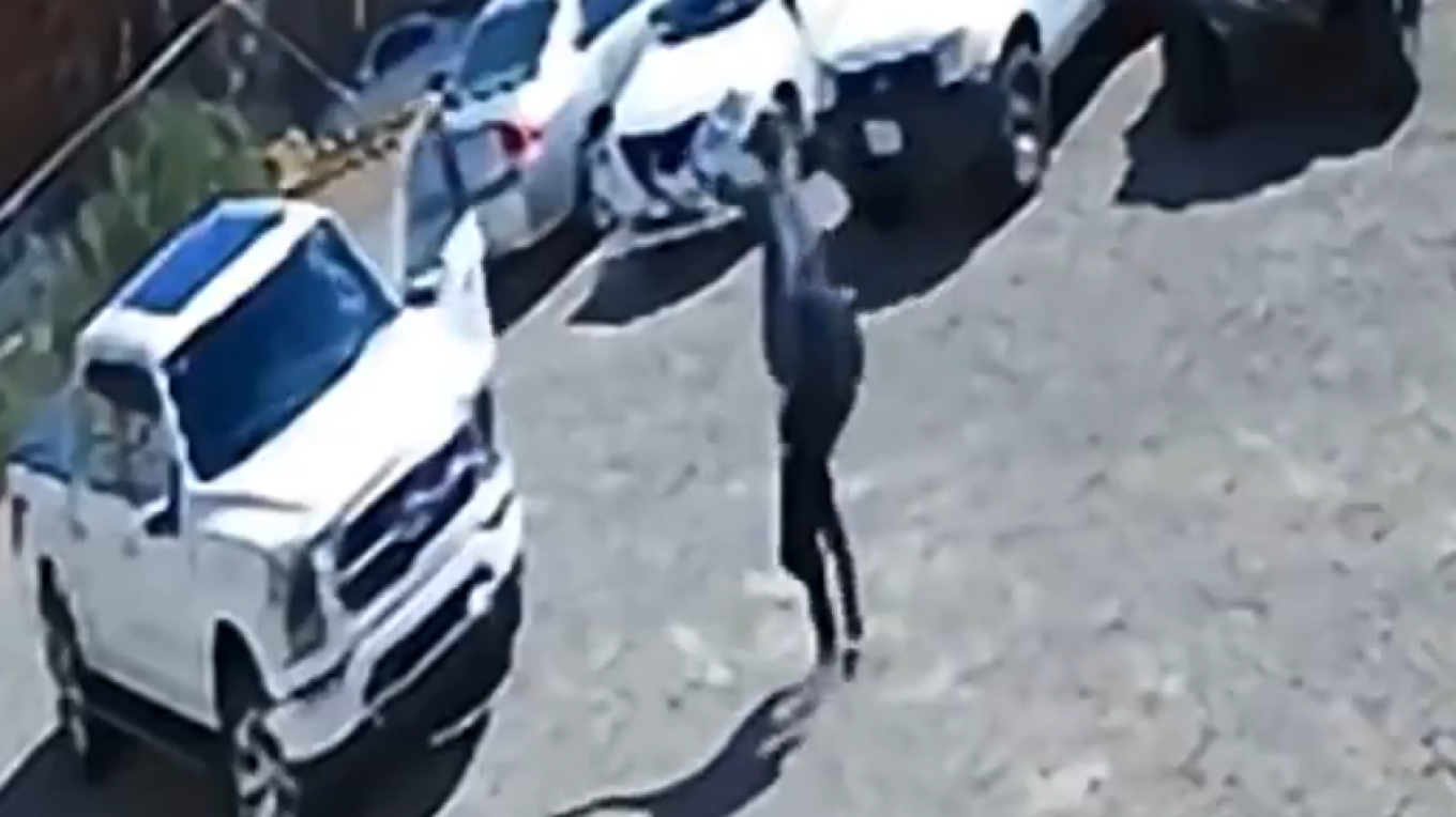ΒΙΝΤΕΟ: Σοκ στο Μεξικό, 30χρονος εκτέλεσε τον οδοντίατρό του για ένα χαλασμένο δόντι