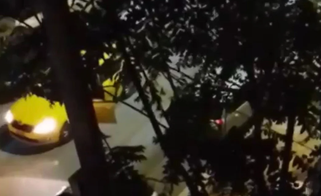 Δίωξη για κακούργημα στον 35χρονο που δάγκωσε και έκοψε το αυτί της οδηγού ταξί στη Νέα Ιωνία